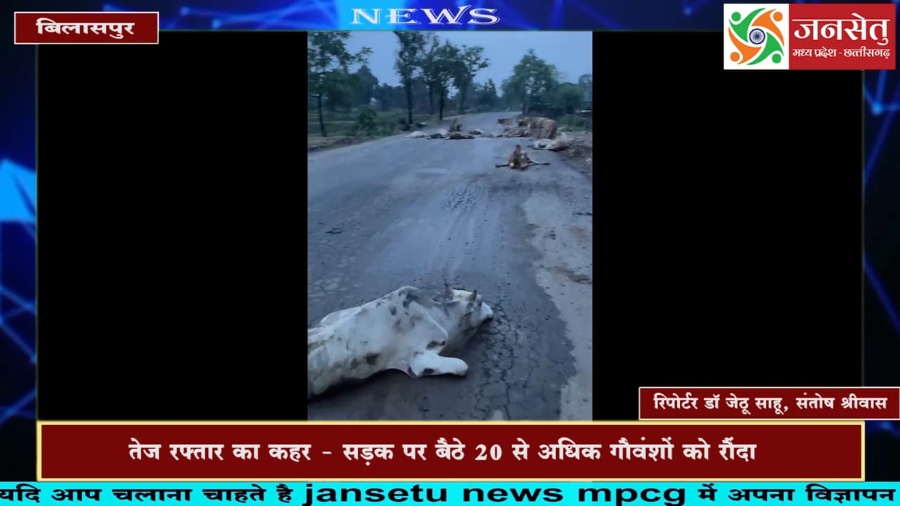 तेज रफ्तार का कहर - सड़क पर बैठे 20 से अधिक गौवंशों को रौंदा