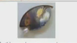 Minerals